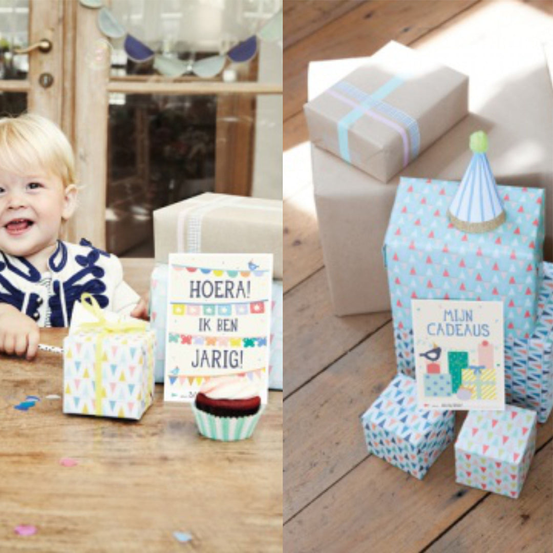 Mijlpaalkaarten boekje voor baby’s eerste verjaardag als cadeau, ideaal voor kraammand of cadeau voor kersverse ouders