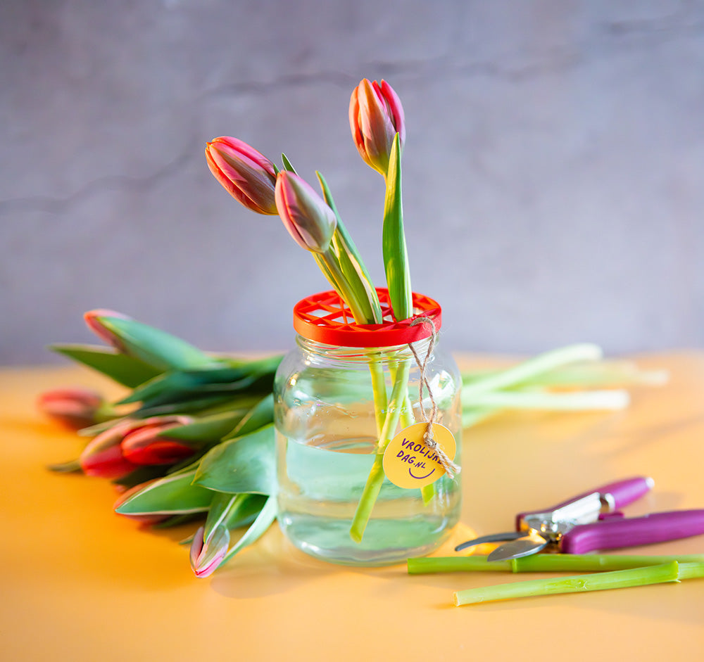 Flower Up vaasinzet op een potje terwijl bloemen worden geschikt, eenvoudig duurzaam bloemschikken