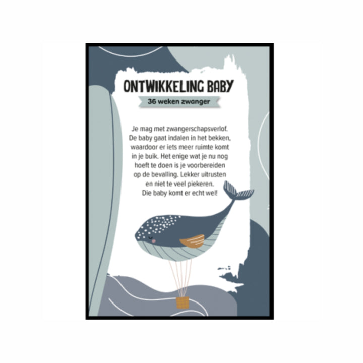 Zwangerschapskaart ontwikkeling baby 36 weken zwanger walvis illustratie